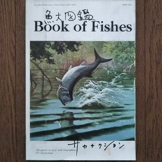 サカナクション 魚大図鑑のみ(ミュージシャン)