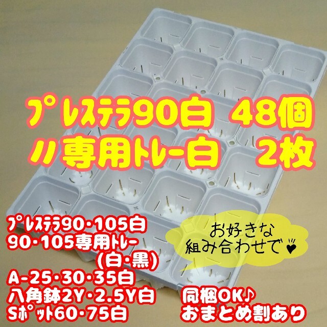 【スリット鉢】プレステラ90白48個＋専用システムトレー白2枚 多肉植物 ハンドメイドのフラワー/ガーデン(プランター)の商品写真