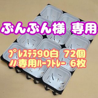 【スリット鉢】プレステラ90白72個＋専用システムトレー：ハーフ6枚 多肉植物(プランター)