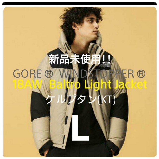 THE NORTH FACE - 超稀少  18AW THE NORTH FACE バルトロライトジャケット L