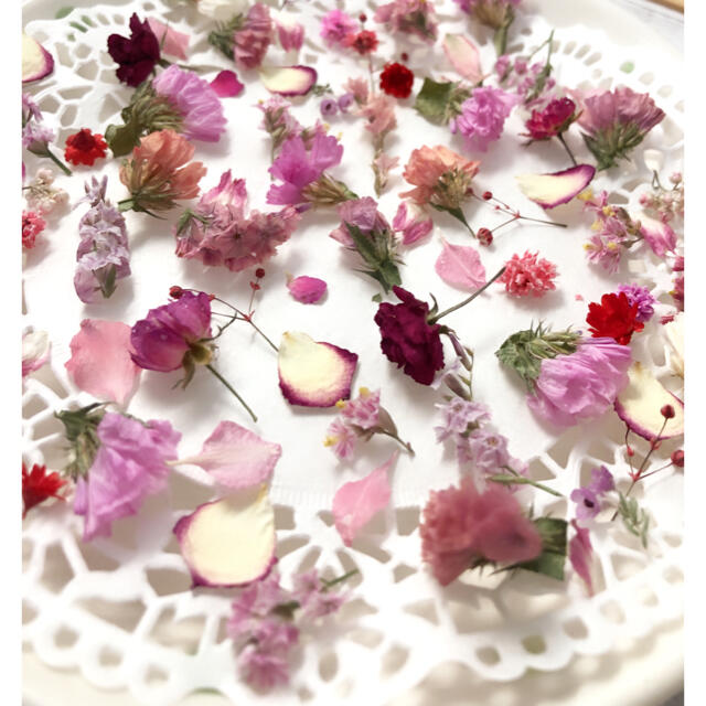 ドライフラワー  花材 赤ピンク白系＊小花アソート ハンドメイドの素材/材料(各種パーツ)の商品写真