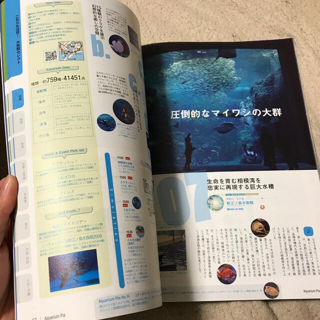 見て、さわって、癒される水族館ぴあ Ａｑｕａｒｉｕｍ　ｂｅｓｔ