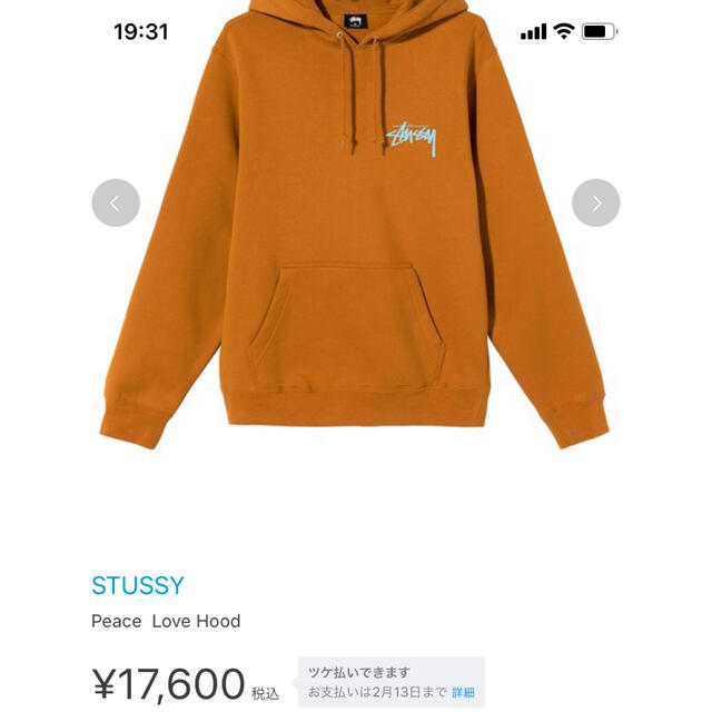 STUSSY(ステューシー)のステューシー　完売　今季パーカー　激安 メンズのトップス(パーカー)の商品写真