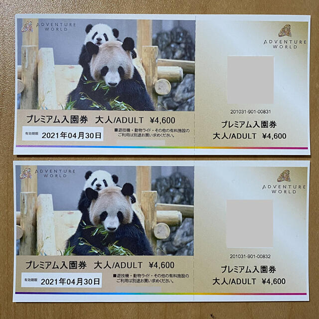 チケットアドベンチャーワールド プレミアム入園券 大人2枚 - 動物園