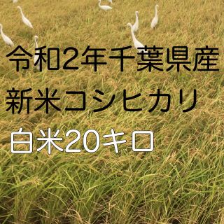 令和2年新米コシヒカリ白米20kg(米/穀物)