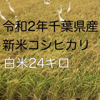 令和2年新米コシヒカリ白米24kg(米/穀物)