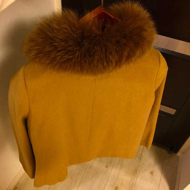 ANAYI(アナイ)のANAYI アンゴラシャルム　ティペット付きショートコート レディースのジャケット/アウター(毛皮/ファーコート)の商品写真