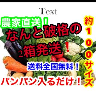 約破格❗️100サイズ2箱発送❗️農家直送野菜詰め合わせ送料全国無料❗️(野菜)