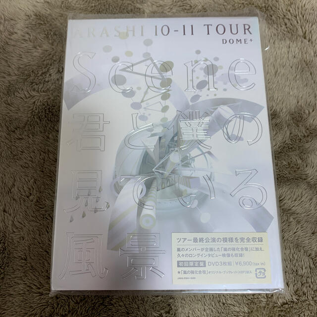 ARASHI　10-11TOUR　“Scene”～君と僕の見ている風景～　DOM