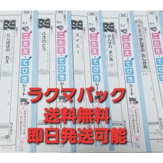 手引きシートこたえ!!小2国語テスト１9枚送料無料即日発送可能ラクマパック(その他)