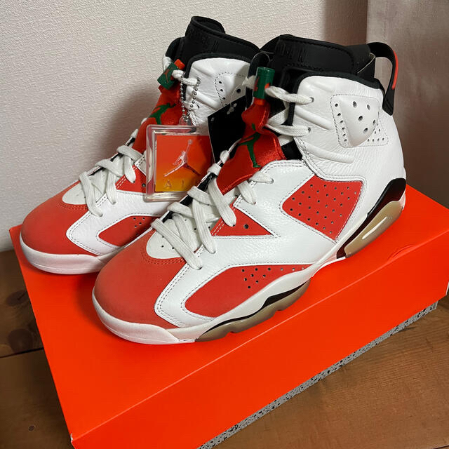 値下げしました!NIKE エアジョーダン6 ゲータレード - スニーカー