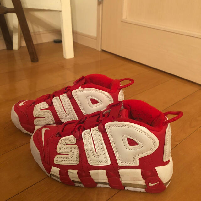 Supreme(シュプリーム)のシュプテン size23.5cm レディースの靴/シューズ(スニーカー)の商品写真