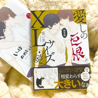 コウダンシャ(講談社)の未読　愛しのＸＬサイズ・続 描き下ろし小冊子付き限定版 限定版(ボーイズラブ(BL))