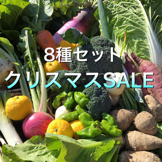 8種入り野菜BOX クリスマスSALE 食品/飲料/酒の食品(野菜)の商品写真