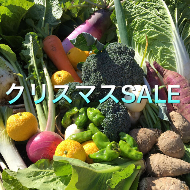 野菜BOX BIGクリスマスSALE 食品/飲料/酒の食品(野菜)の商品写真