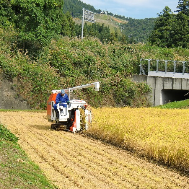 ホタル舞う棚田の令和３年南魚沼産コシヒカリ中粒米米/穀物