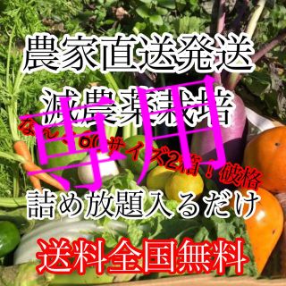 冬野菜詰め合わせ破格60サイズ2箱‼️ダンボール入るだけ(野菜)