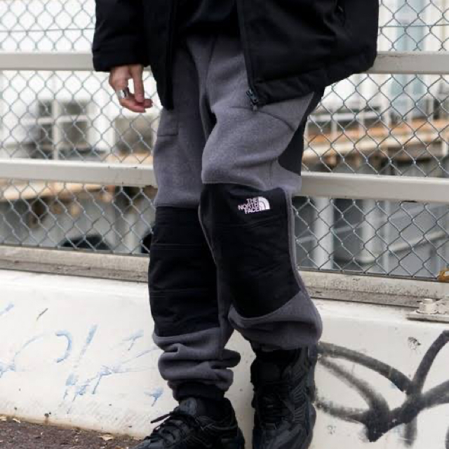 ノースフェイスTHE NORTHFACE DENALI SLIP-ON PANT Lサイズ