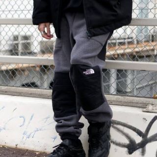 ザノースフェイス(THE NORTH FACE)のTHE NORTHFACE DENALI SLIP-ON PANT Lサイズ(その他)