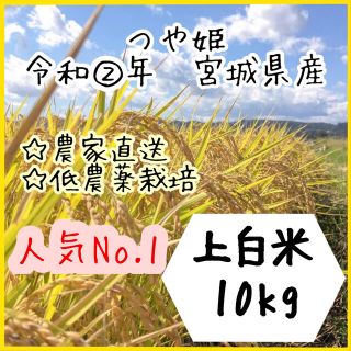 即購入OK♪【農家直送】宮城県産つや姫　上白米10kg【送料無料】(米/穀物)