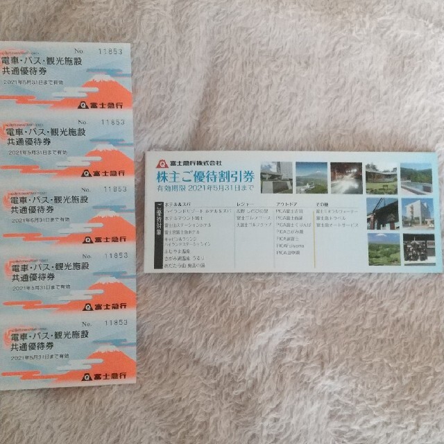 富士急行 株主優待 チケットの施設利用券(遊園地/テーマパーク)の商品写真
