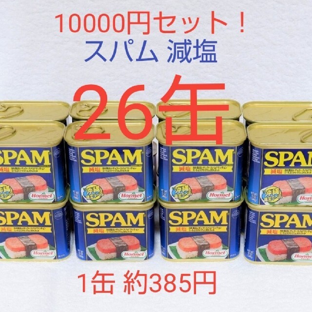 スパム 減塩 26缶（1缶385円）340g 10000円クーポンセットSPAM