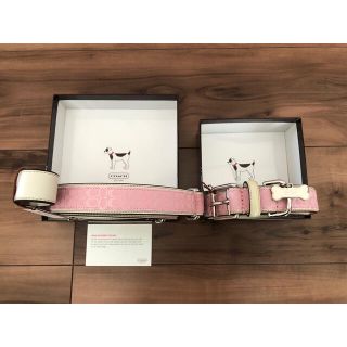 Coach シグネチャー 首輪&リード セット L ②