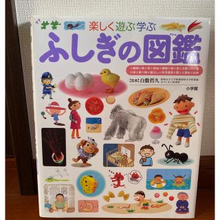 ショウガクカン(小学館)のふしぎの図鑑 楽しく遊ぶ学ぶ(絵本/児童書)