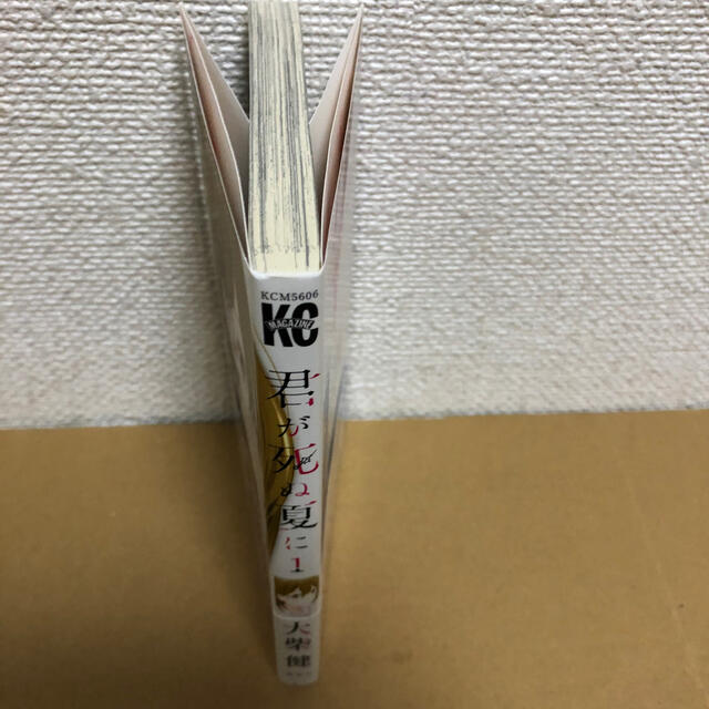 講談社 君が死ぬ夏に 1の通販 By みう S Shop コウダンシャならラクマ 講談社 君が死ぬ夏に 1の通販 By みう S Shop コウダンシャならラクマ