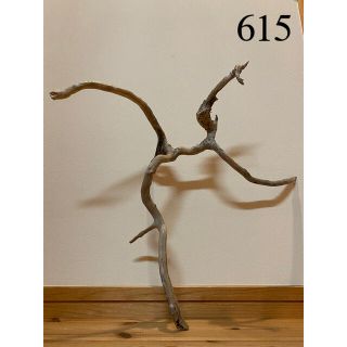 流木【615】(置物)