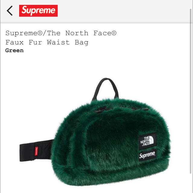 Supreme North Face Waist Bag Green