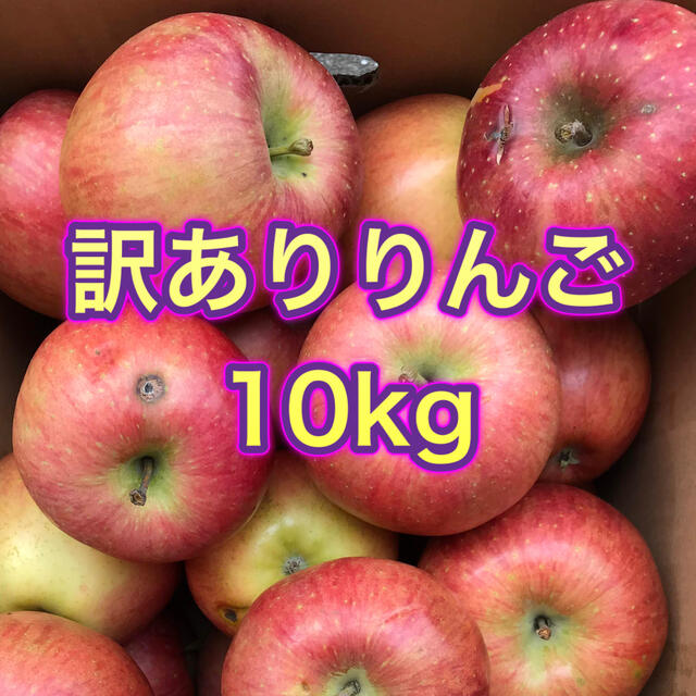 121501 山形県産 訳あり りんご 約10kg 加工用 リンゴ | フリマアプリ ラクマ