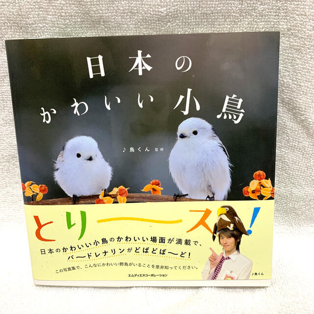 日本のかわいい小鳥 世界のかわいい小鳥 写真集の通販 By たましん Shop ラクマ