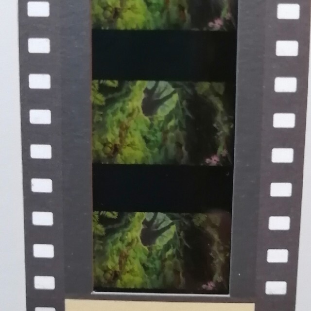 ジブリ(ジブリ)のジブリ入場券（使用済）ナウシカフィルム３枚 チケットの施設利用券(美術館/博物館)の商品写真