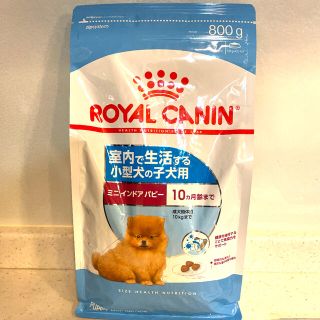 ロイヤルカナン(ROYAL CANIN)のロイヤルカナン ミニインドアパピー　800g(ペットフード)