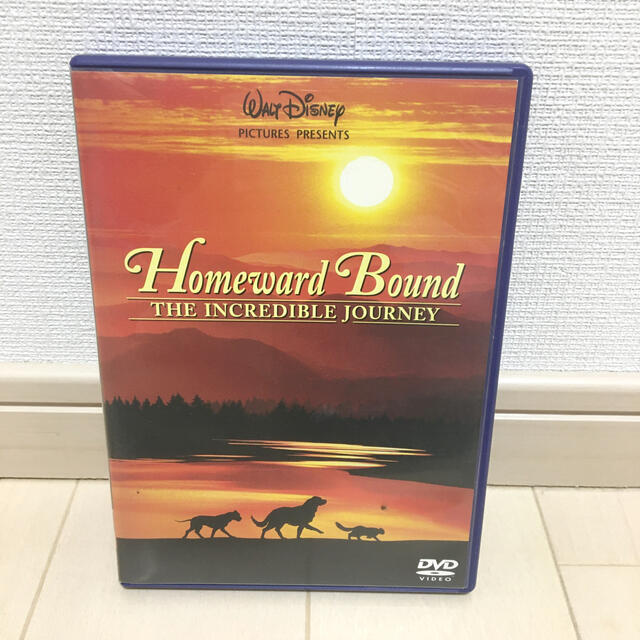 《サーコ様専用》奇跡の旅 DVD エンタメ/ホビーのDVD/ブルーレイ(外国映画)の商品写真