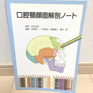《未使用》口腔顎顔面解剖ノ－ト(健康/医学)