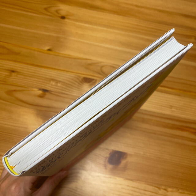 はじめての妊娠・出産安心マタニティブック お腹の赤ちゃんの成長が毎日わかる！ エンタメ/ホビーの雑誌(結婚/出産/子育て)の商品写真