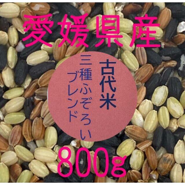 古代米3種ふぞろいブレンド　愛媛県産　800ｇ 食品/飲料/酒の食品(米/穀物)の商品写真