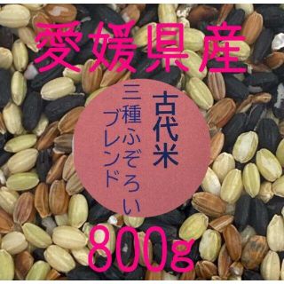 古代米3種ふぞろいブレンド　愛媛県産　800ｇ(米/穀物)