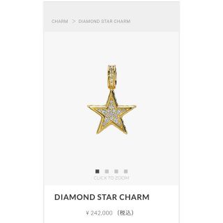 スタージュエリー(STAR JEWELRY)のひー様専用(ネックレス)