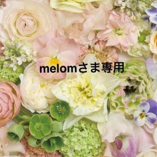 melomさま専用ページ♡(つけ爪/ネイルチップ)