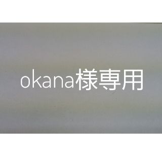 okana様専用(その他)