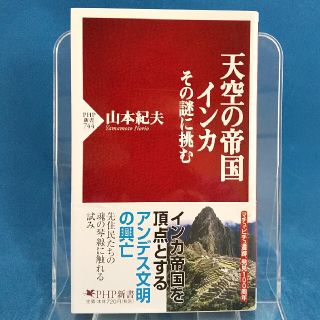 天空の帝国インカ その謎に挑む(文学/小説)