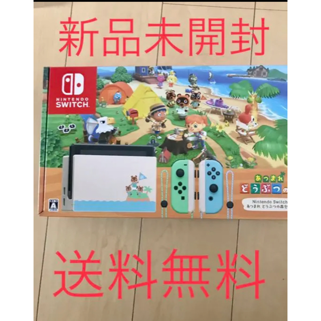 任天堂Nintendo Switch あつまれ どうぶつの森セット/Switch