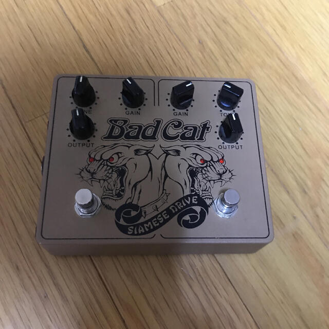 bat cat siamese drive ギブソン　レスポールvemuram