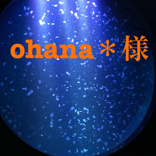 ohana＊様専用(その他)