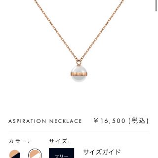 ダニエルウェリントン(Daniel Wellington)の新品♡Daniel Wellington ASPIRATION NECKLACE(ネックレス)