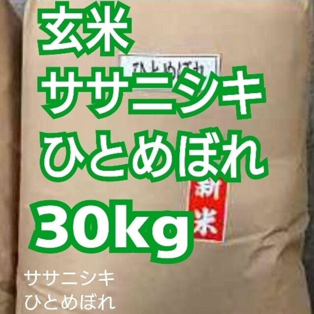 令和２年産】玄米　お米　30kg　米/穀物