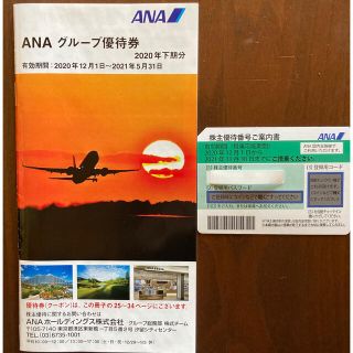 エーエヌエー(ゼンニッポンクウユ)(ANA(全日本空輸))のANA 株主優待券　1枚(その他)